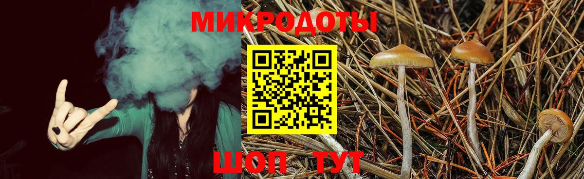 Псилоцибиновые грибы ЛСД Полысаево